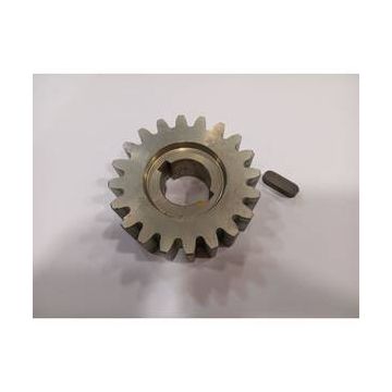 Pignon 999404 pour moteur SL1524SB et SL324EBSB Cardin