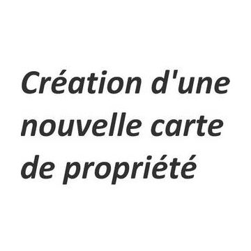 Reproduction de clé Fichet de type 787 Z FICHET