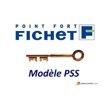 CLÉ F3D REPRODUITE SUR CARTE CODÉE SANS INSERT