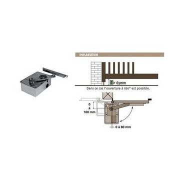 DEXXO PRO 800 RTS moteur seul + télécommande Somfy pour porte garageRemplacé par SY1216535