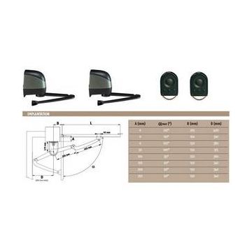 DEXXO PRO 800 RTS pack avec rail courroie Somfy pour porte de garage