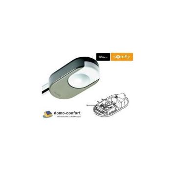 Motorisation Exavia Star à vis pour portail battant - SOMFY -