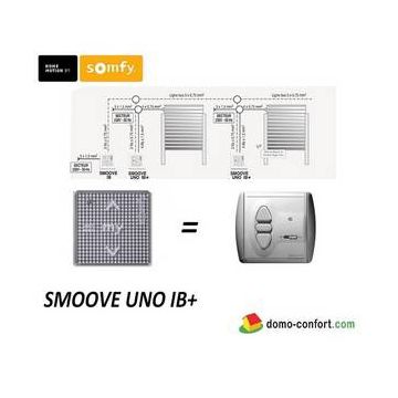 Boîtier TaHoma SOMFY Box RTS et IO abonnement mensuel REMPLACE PAR SY1811478